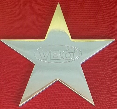 Verleihung des VBÖ Sterns an Dr. Reinhard Lutz
